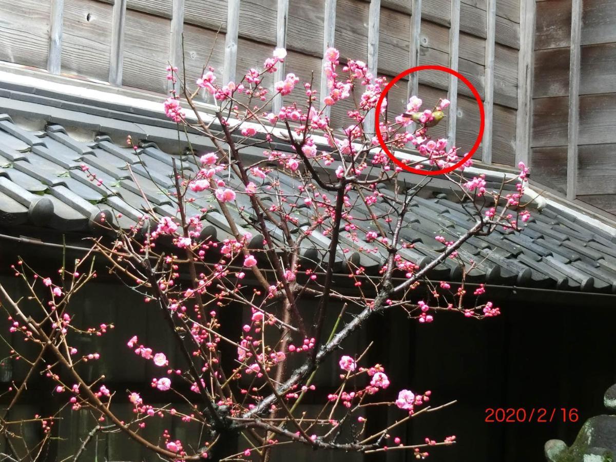 Hoshidekan 傳統日式旅館 2*